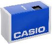 Casio Erkek Ae1000W-1B