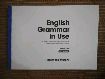 English grammar in use 4th edition