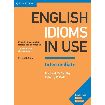 English idioms in use internediate second edition