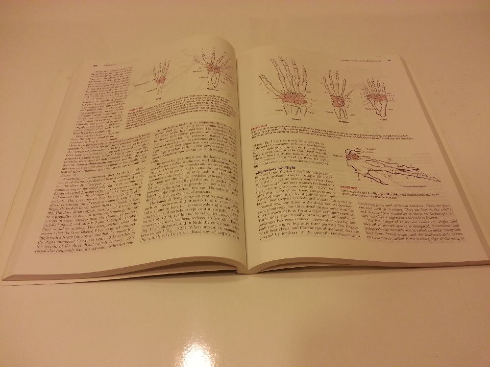 Biyoloji Kitaplar Satlk Comparatve Anatomy Of The Vertebrates / Nnth Ed