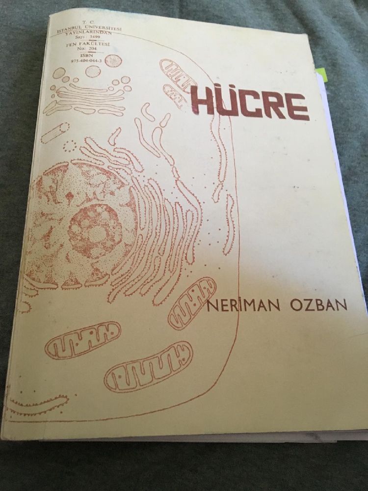 Biyoloji Kitaplar Satlk Hcre  Neriman Ozban