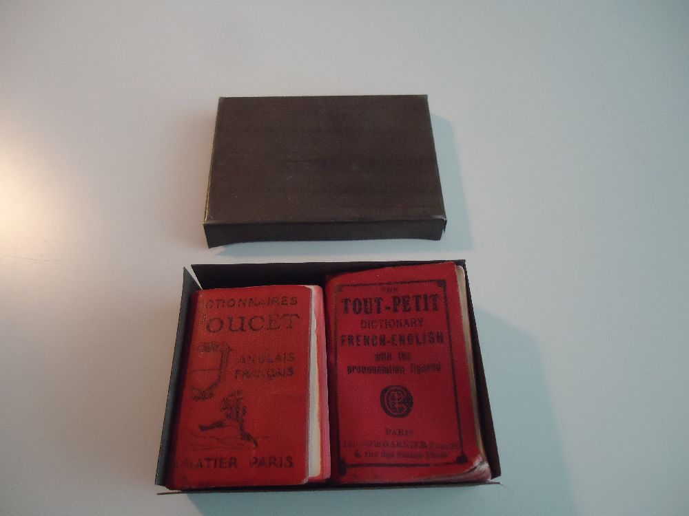 Kitap Satlk Franszca ngilizce Mini Szlk Antika