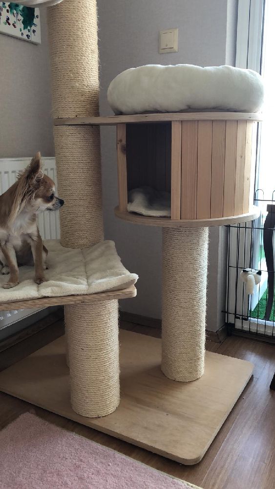 Kedi Kafesleri Satlk Kedi Evi Zooplus Marka Byk Boy