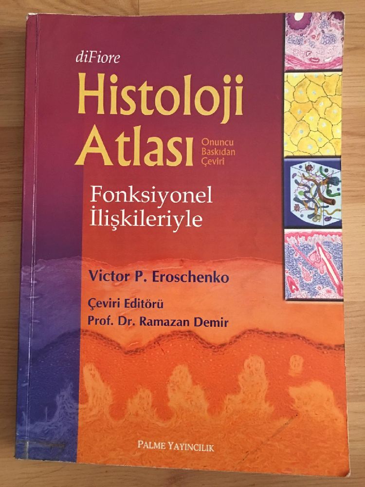 Tp Kitaplar Tp Kitab Satlk Difiore Histoloji Atlas