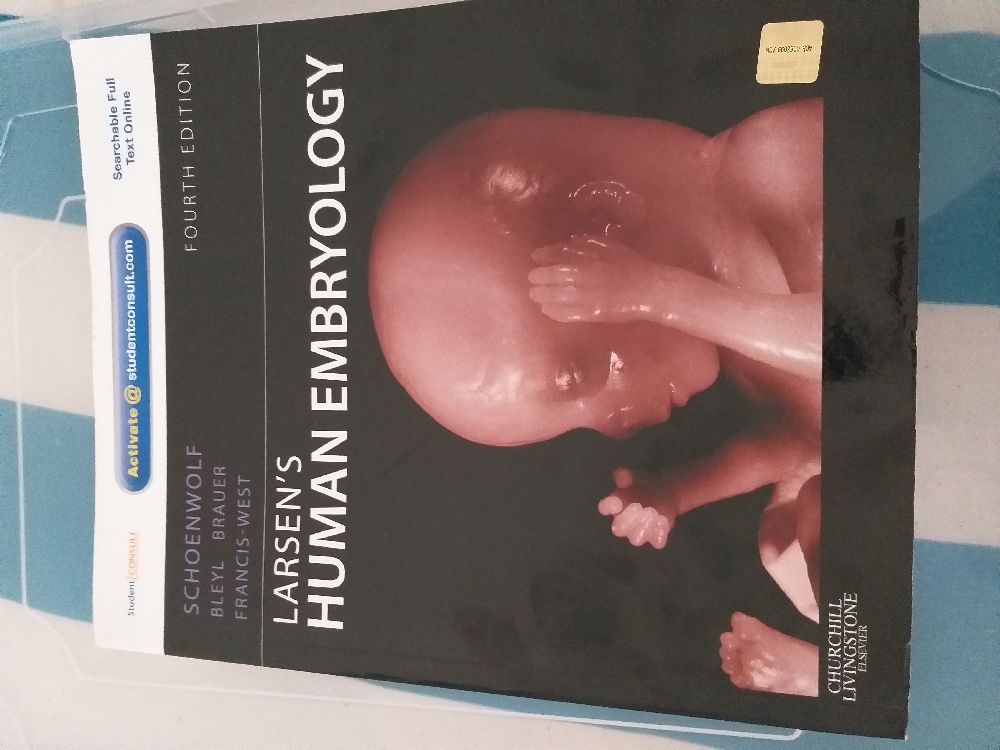 Tp Kitaplar Embriyoloji Satlk Sfr Inglzce Larsen'S Human Embryology Textbook