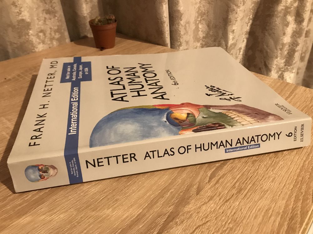 Tp Kitaplar Satlk Netter anatomy kitabi 6th edition