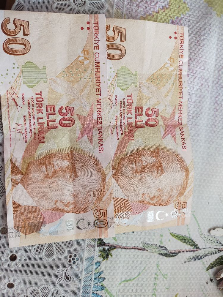 Paralar Trkiye 50 tl Satlk Hatal bask