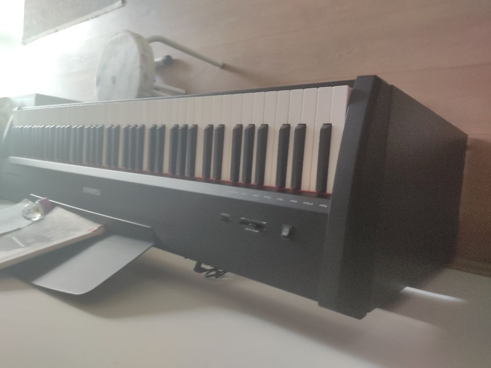 Piyano Tuanas Dijital piyano Satlk 1 ay nce satn alnd hi bir sorunu ve cizigi yo