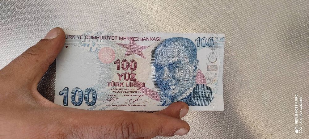 Paralar Trkiye Erkek Satlk Hatal basm 100 tl