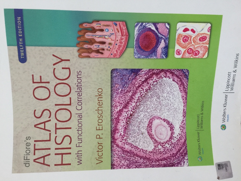 Tp Kitaplar Satlk Atlas of histology