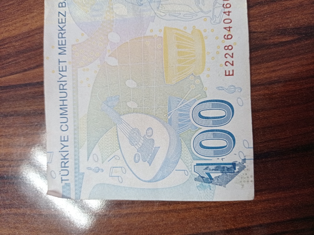 Paralar Trkiye Satlk 100 tl