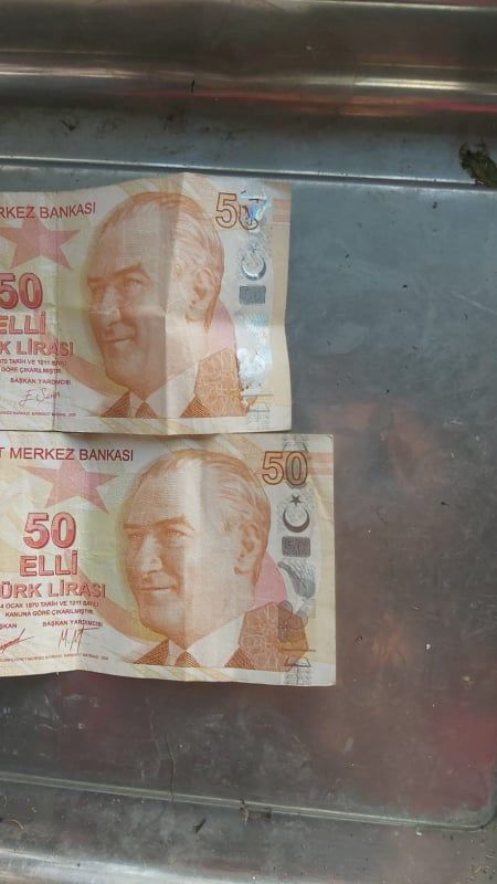 Paralar Trkiye Satlk Hatal basm