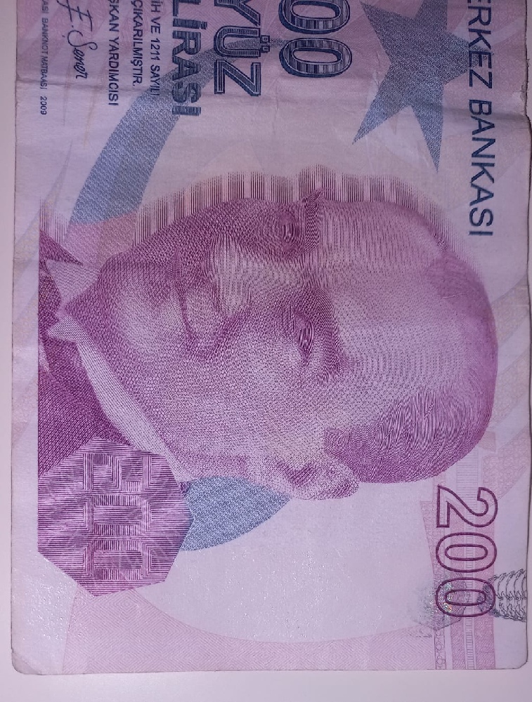 Paralar Turkiye Satlk 200 Tl yan parlak erit hi yok