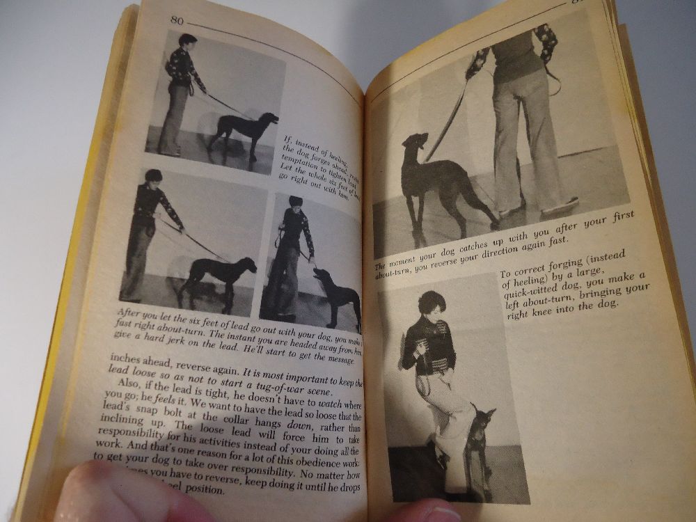 Kaynak Kitaplar Kpek Eitimi Satlk Dog Training Book - Patricia P. Widmer