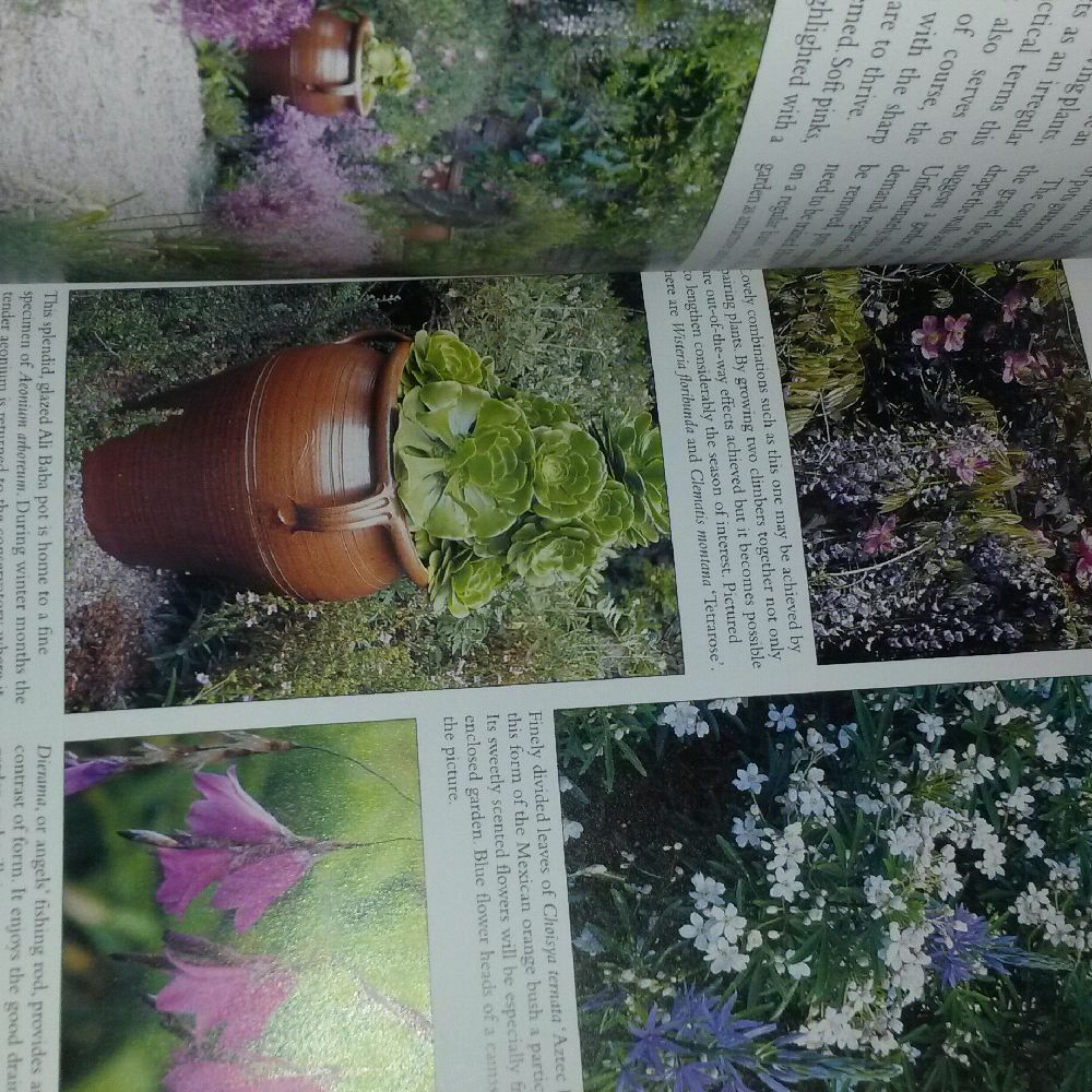 Dier Kitaplar Gardening in a small space EKLER Satlk iek ler hakknda bilgiler ingilizce kitap