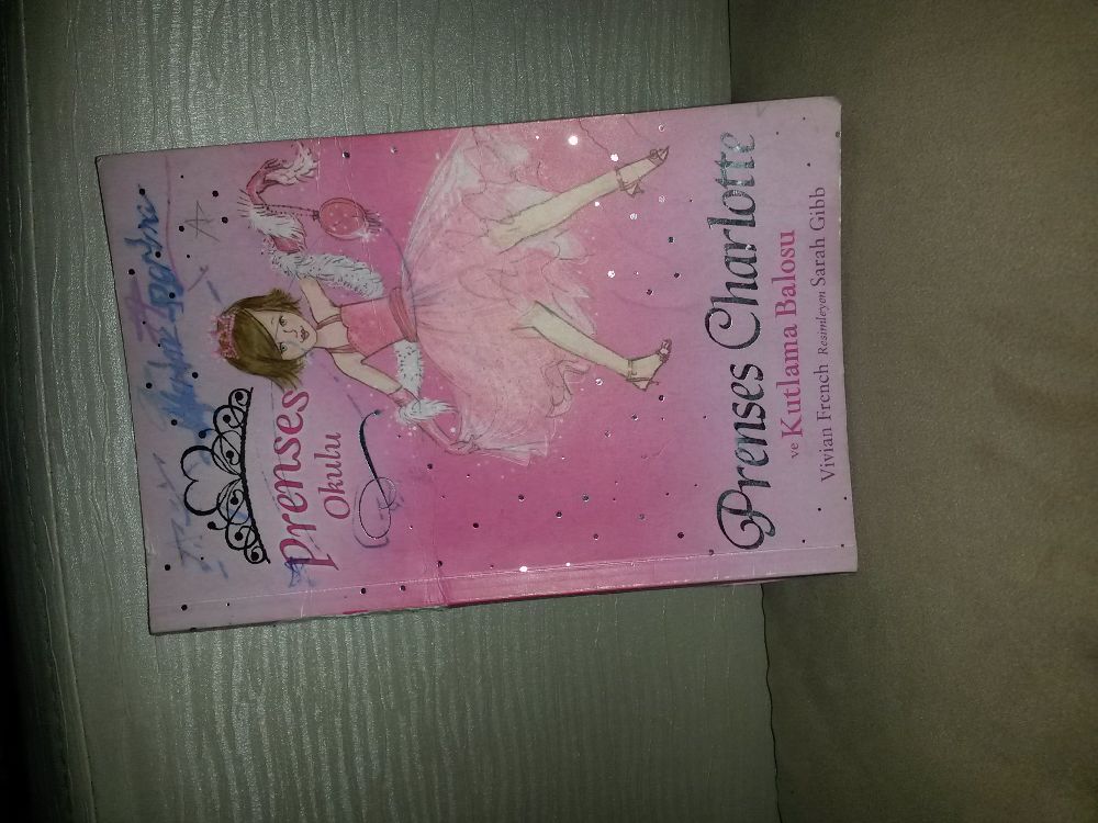 ocuk Kitaplar Prenses charlot ve kutlama balosu Satlk Prenses okulu ve kutlama balosu