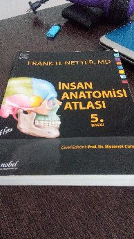 0 Ayarnda Netter Anatomi Atlas 5.Bask