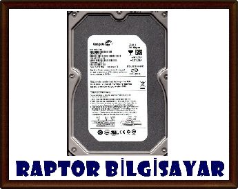 320 Gb Sata 3.5'' Masast Pc Hard Disk (Adetli)