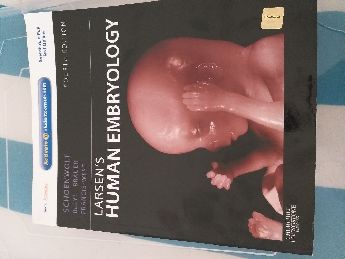 Sfr Inglzce Larsen'S Human Embryology Textbook