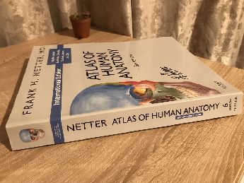 Netter anatomy kitabi 6th edition