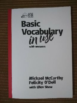 Basic Vocabulary in use michael mccarthy