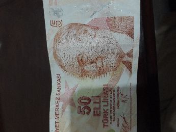 Basim hatal 50 lira