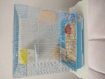Hamster ve kafesi