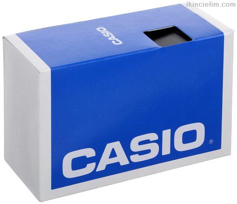 Casio Erkek Ae1000W-1B