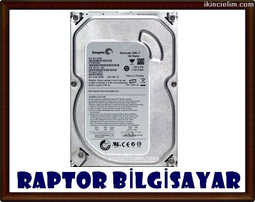 160 Gb Sata 3.5'' Masast Pc Hard Disk (Adetli)