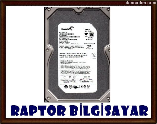 320 Gb Sata 3.5'' Masast Pc Hard Disk (Adetli)