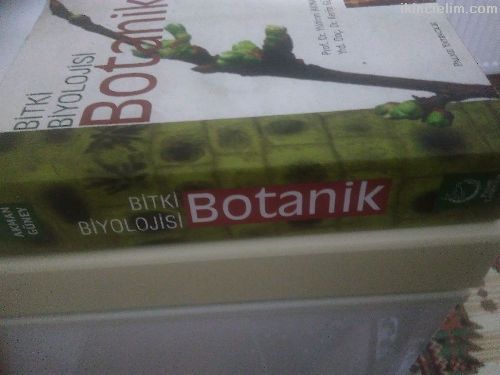 Palme Bitki Biyolojisi Botanik
