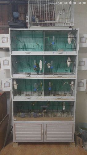 Pvc Muhabbet retim Kafesleri