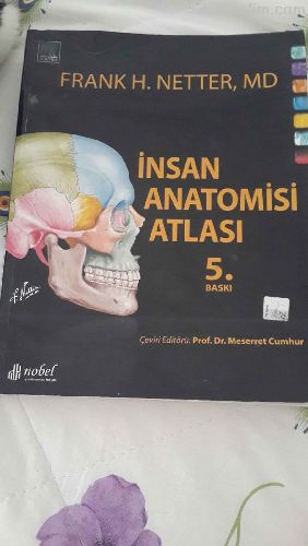 Satlk netter anatomi atlas