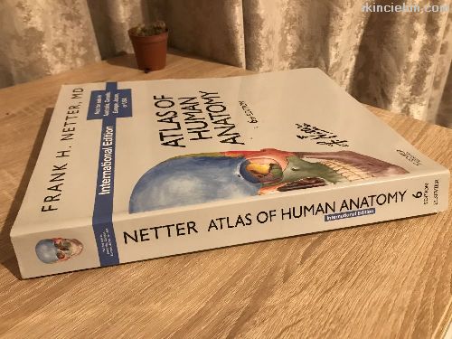 Netter anatomy kitabi 6th edition