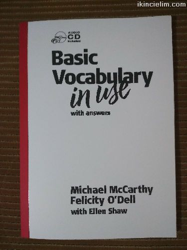 Basic Vocabulary in use michael mccarthy
