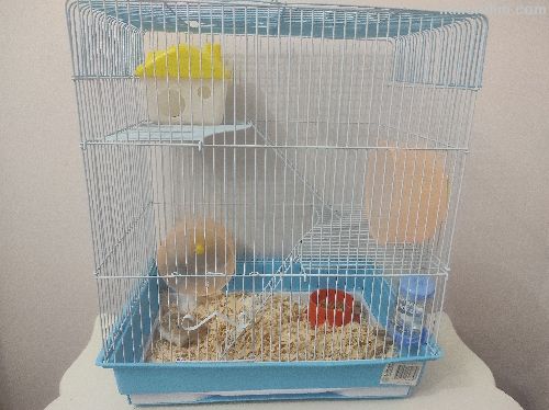 Hamster ve kafesi