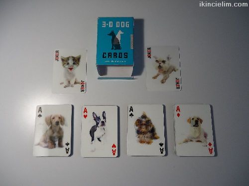 3D Dog Cards Kikkerland Tertemiz Eksiksiz