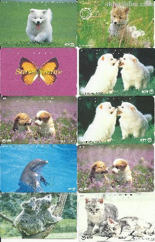 50 Adet Hayvanlar Konulu Yabanc Telefon Kartlar