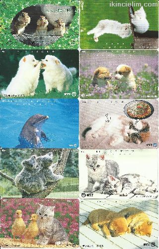 50 Adet Hayvanlar Konulu Yabanc Telefon Kartlar