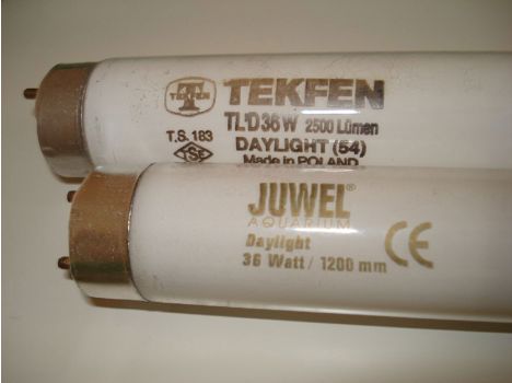 Evcil Hayvan, Akvaryum Malzemeleri, Juwel, Işıklandırma, 2 Adet 120 Cm. Daylight Floresan