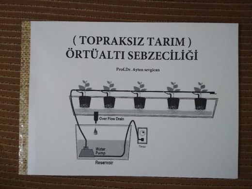 Topraksız tarım ( örtüaltı sebzeciliği )