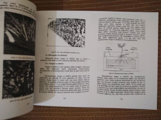 Kitap, Dergi : Topraksız tarım ( örtüaltı sebzeciliği )