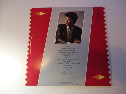 Paul Young No Parlez Plak Müzik, Film (Plak,Cd, Dvd) : Paul Young No Parlez Lp Tertemiz