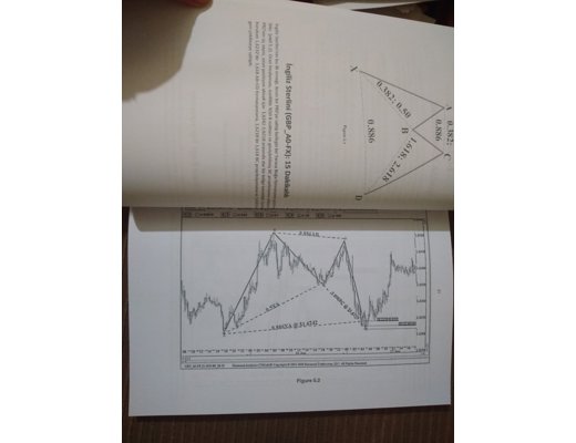 Scott carney Kitap, Dergi : Harmonik formasyonlar harmonic patterns