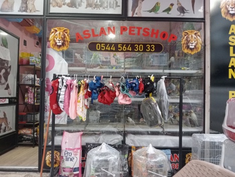 Evcil Hayvan, Diğer Evcil Hayvanlar, Erkek, Sarı, Sultan Papağanı, Aslan Petshop