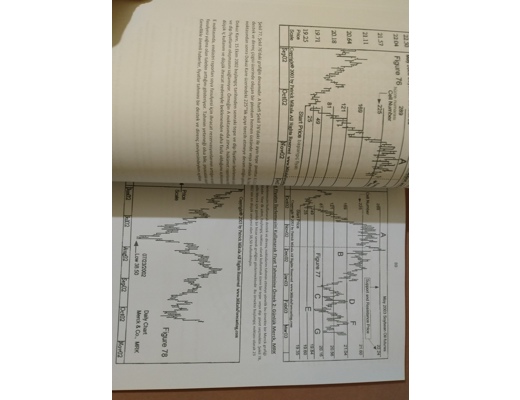 Kitap, Dergi : Gann ile teknik analiz.