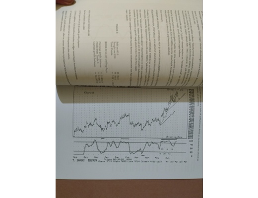 Kitap, Dergi : Teknik analizde gann yöntemi