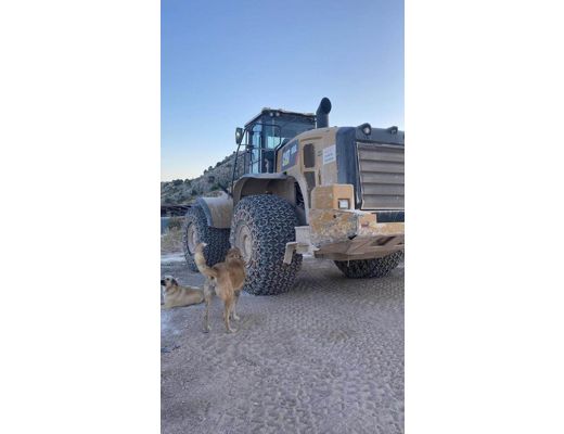 Caterpillar 2019 Cat 980 L-Atacmanlı Lastikli Loder İş Makineleri : 2019 Cat 980L-Ataçmanlı-Yağlamalı-532 303 0550