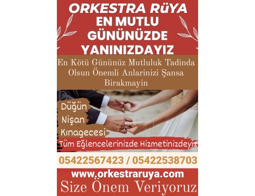 İlk-Orta Öğrenim DENİZLİ ORKESTRA DÜNYASI SES SİSTEMİ KİRALAMA, İlk-Orta Öğrenim