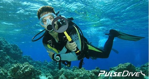 PULSE DİVE & SCUBA El Dedektörü PULSE DİVE & SCUBA, Pulsedive ikisi bir arada set bu sene dedektörleri